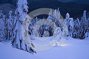 Winter night landscape with a snow igloo