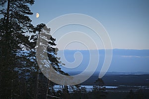 Winter night / moonlight / landscape