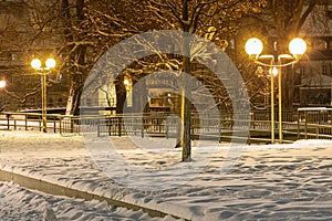 Winter in the night park