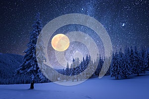 Winter night with starry sky and full moon