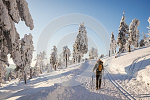 Winter nordic walking in snow at mountains