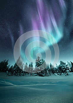 Winter Northern Lights Above A Forest photo