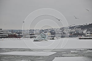 winter Norway Oslo snow frozen sea cold before christmas