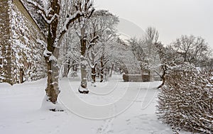 Winter old city Tallinn Estonia