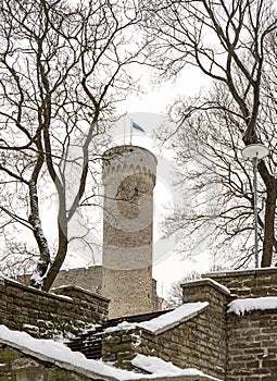 Winter old city Tallinn Estonia