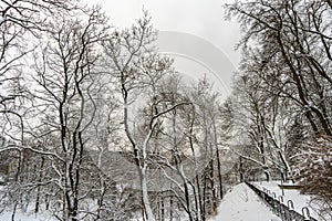 Winter old city Tallinn Estonia