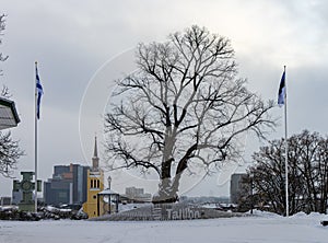 Winter old city Tallinn Estonia