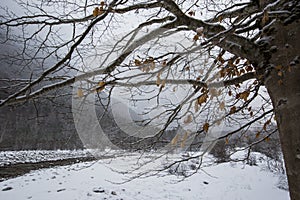 Winter in Ordesa and Monte Perdido National Park, Pyrenees, Spain