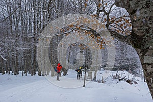 Winter in Ordesa and Monte Perdido National Park, Pyrenees, Spain