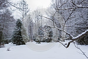 Winter in Ordesa and Monte Perdido National Park, Pyrenees, Spain