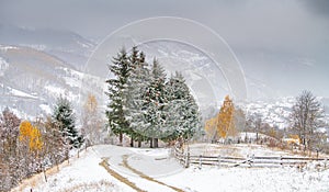 Winter over some beautiful authentic traditional villages in Romania with old houses and some autumn fall coloured trees in Rucar-