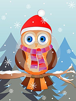 Winter Owl Vector Illustration