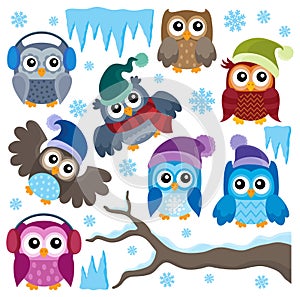 Winter owls thematic set 1 photo