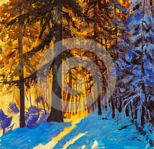 Dawn in the winter forest. Sunrise of a warm yellow sun in a cold blue winter forest. Winter landscape. Large Christmas trees. Pos