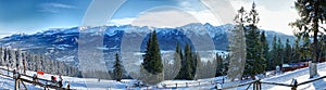 Winter panorama.
