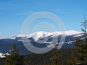 Winter panorama