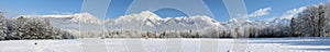 Winter panorama of forest and mountains