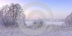 Winter panorama with frozen oak trees on a field.