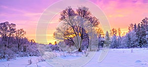 winter panorama landscape with forest, trees covered snow and sunrise.