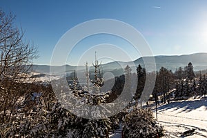 Winter panorama landscape with forest, trees covered snow and sunrise. winterly morning of a new day. winter landscape with sunset