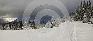 Winter panorama of snow-capped mountain peaks, dramatic sky and fir trees in the snow. A path going deep into the snowy forest.