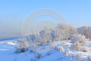 Winter panorama with snow covered trees. Beautiful landscape of wonderland