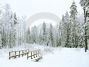 Winter panorama. Snowy forest road, frozen trees, Small wooden bridge with a railing, across a forest stream