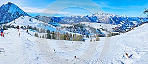 Winter panorama of Zwieselalm Alpine meadow, Gosau, Austria