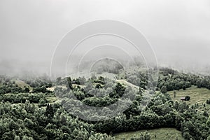 Winter panoramic landscape of a hill forest in Moieciu de Jos, Brasov, Transylvania, Romania