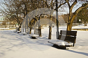 Winter park bench untouched snow incity photo