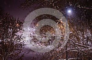 Winter park in the evening covered with snow with a row of lamps