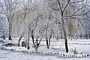 Winter park landscape
