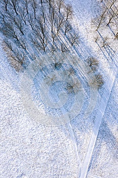 Winter park landscape with frozen trees and footpaths, covered by snow. aerial top view