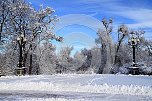 Winter park landscape, trees covered with snow, with lantern, winter street, Ukraine