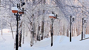 Winter park with lanterns. Winter trees are covered with hoarfrost. Wonderful winter scene