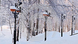 Winter park with lanterns. Winter trees are covered with hoarfrost. Wonderful winter scene