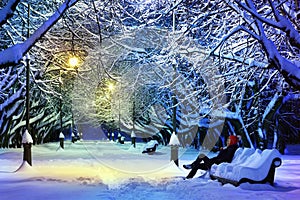 Winter Park at Night