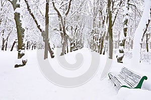 Winter park, Pavlovsk, Saint-Petersburg, Russia