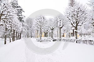 Winter park, Pavlovsk, Saint-Petersburg, Russia