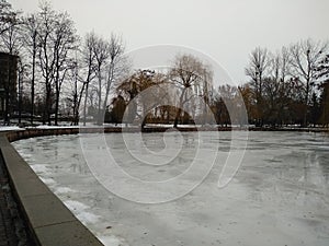 Winter in the park on a rainy day.