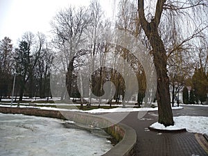 Winter in the park on a rainy day.