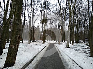 Winter in the park on a rainy day.