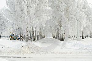 Winter park in russia, frozen trees in hoarfrost