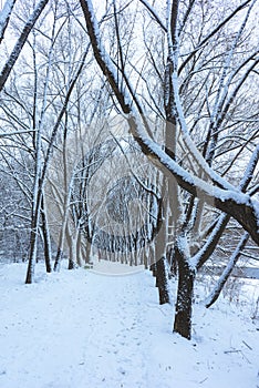 Winter Park in Snow