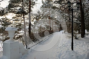 In a winter park during a snowfall