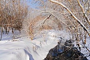 Winter Park. the stream is not frozen, the trees are covered with snow.