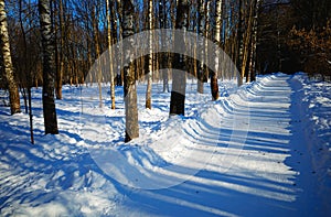 Winter park during sunset time background