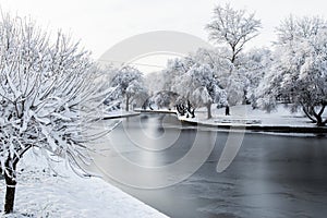 Winter park, trees and a bench covered with snow, the river partly covered with ice
