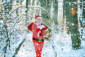 Winter park trees covered with snow. Santa Claus with bag walking in winter. Santa Claus pulling huge bag of gifts on