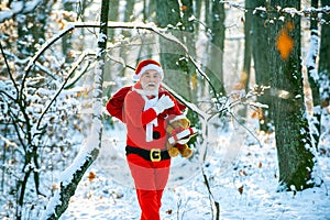 Winter park trees covered with snow. Santa Claus with bag walking in winter. Santa Claus pulling huge bag of gifts on